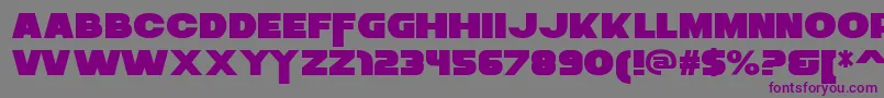 ZaiusRegular Font – Purple Fonts on Gray Background