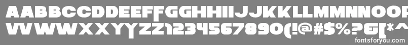 ZaiusRegular-Schriftart – Weiße Schriften auf grauem Hintergrund