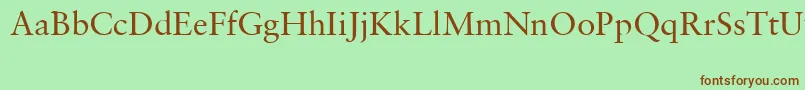 SabonCeRoman Font – Brown Fonts on Green Background