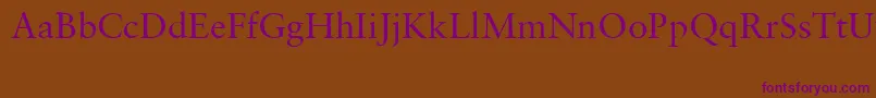 SabonCeRoman Font – Purple Fonts on Brown Background