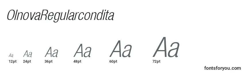 OlnovaRegularcondita Font Sizes
