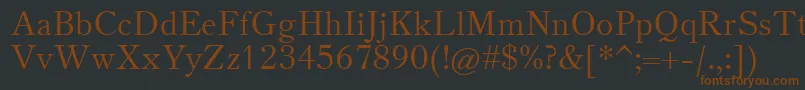 Шрифт TheanoOldStyleRegular – коричневые шрифты на чёрном фоне