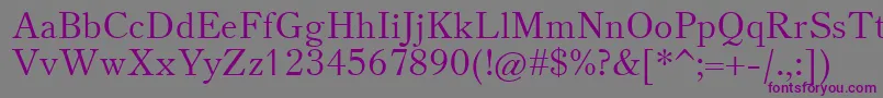 TheanoOldStyleRegular Font – Purple Fonts on Gray Background