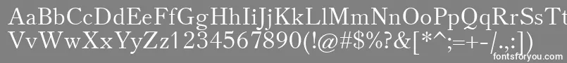 TheanoOldStyleRegular Font – White Fonts on Gray Background