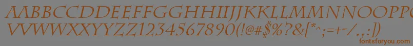 ChattsworthItalic Font – Brown Fonts on Gray Background