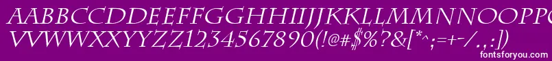 ChattsworthItalic Font – White Fonts on Purple Background