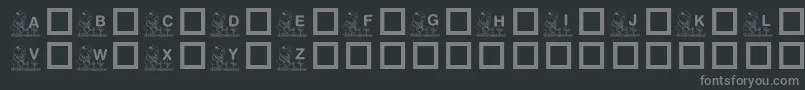 KrGardenForSue Font – Gray Fonts on Black Background