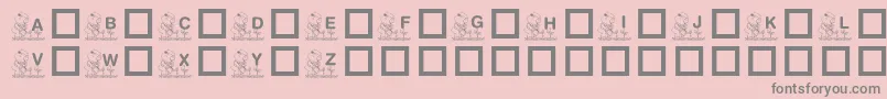 KrGardenForSue Font – Gray Fonts on Pink Background