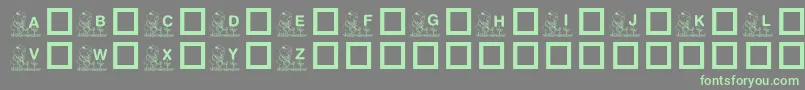 KrGardenForSue Font – Green Fonts on Gray Background