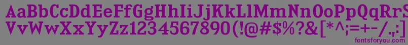 フォントKingsbridgeSb – 紫色のフォント、灰色の背景