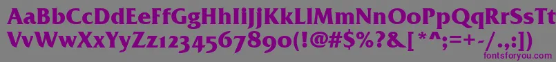 FrizQuadrataOsTtBold Font – Purple Fonts on Gray Background