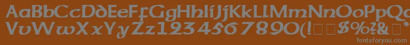 フォントCodexSsi – 茶色の背景に灰色の文字