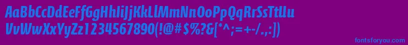 CalciteproBold Font – Blue Fonts on Purple Background