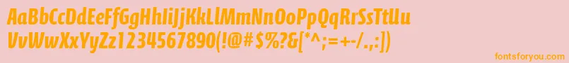 CalciteproBold Font – Orange Fonts on Pink Background