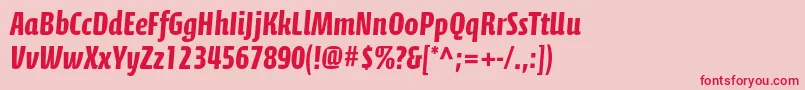 CalciteproBold Font – Red Fonts on Pink Background