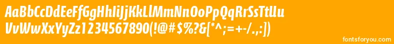 CalciteproBold Font – White Fonts on Orange Background