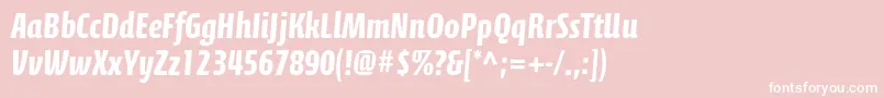 CalciteproBold Font – White Fonts on Pink Background