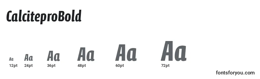 CalciteproBold Font Sizes