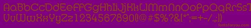 MexicoserialRegular Font – Brown Fonts on Purple Background