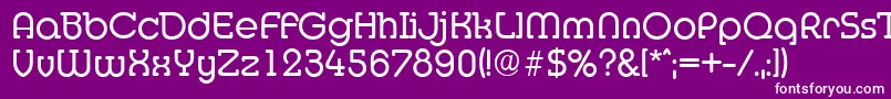 MexicoserialRegular Font – White Fonts on Purple Background