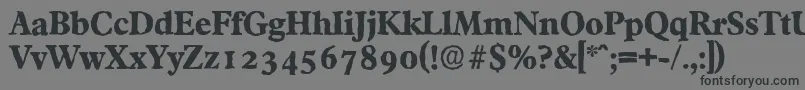 フォントFranciscoantiqueXboldRegular – 黒い文字の灰色の背景