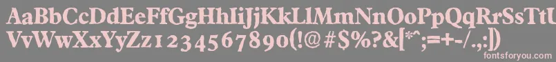 FranciscoantiqueXboldRegular Font – Pink Fonts on Gray Background