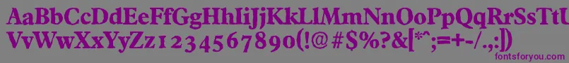 FranciscoantiqueXboldRegular Font – Purple Fonts on Gray Background