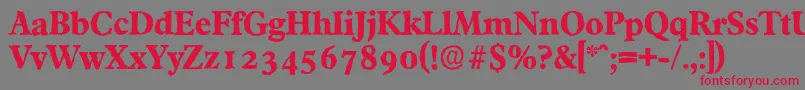 フォントFranciscoantiqueXboldRegular – 赤い文字の灰色の背景
