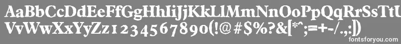 FranciscoantiqueXboldRegular Font – White Fonts on Gray Background