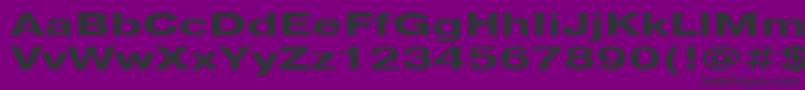 Pragmatica151b Font – Black Fonts on Purple Background