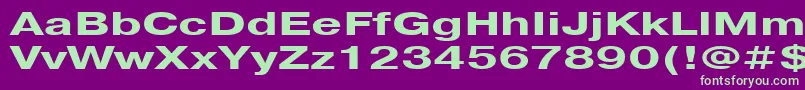 Pragmatica151b Font – Green Fonts on Purple Background