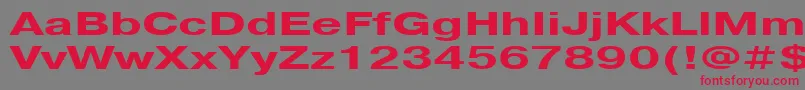 Police Pragmatica151b – polices rouges sur fond gris