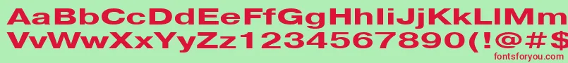 Pragmatica151b Font – Red Fonts on Green Background
