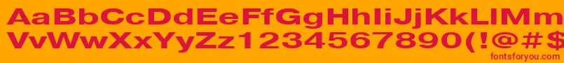 Pragmatica151b Font – Red Fonts on Orange Background