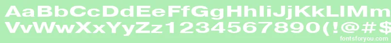 Pragmatica151b Font – White Fonts on Green Background