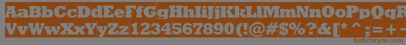 Rodeoextraboldcameo Font – Brown Fonts on Gray Background