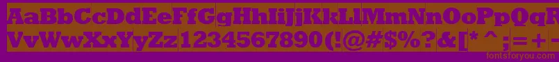 Rodeoextraboldcameo-Schriftart – Braune Schriften auf violettem Hintergrund