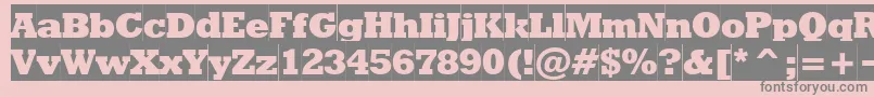 Rodeoextraboldcameo Font – Gray Fonts on Pink Background