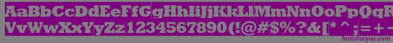 Rodeoextraboldcameo Font – Purple Fonts on Gray Background