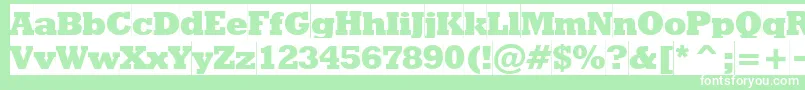 Rodeoextraboldcameo Font – White Fonts on Green Background