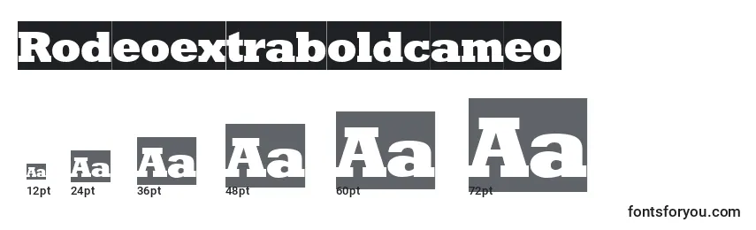 Rodeoextraboldcameo Font Sizes