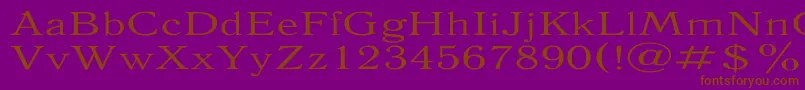 AntiquaExpanded Font – Brown Fonts on Purple Background