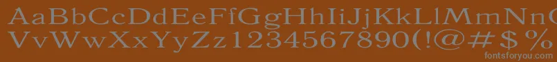 AntiquaExpanded Font – Gray Fonts on Brown Background