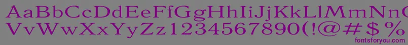 AntiquaExpanded Font – Purple Fonts on Gray Background