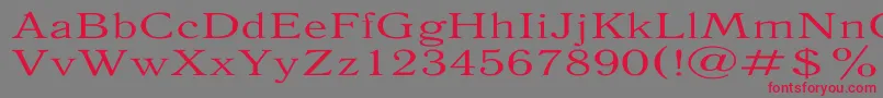 AntiquaExpanded Font – Red Fonts on Gray Background