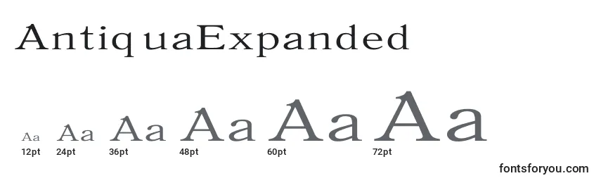 Размеры шрифта AntiquaExpanded