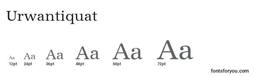 Размеры шрифта Urwantiquat