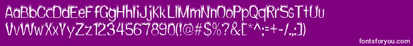 Hothead Font – White Fonts on Purple Background