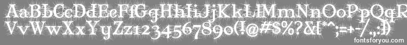 Mjdeg Font – White Fonts on Gray Background
