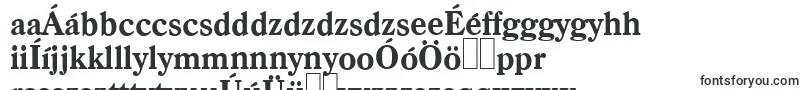 Шрифт CasadserialXboldRegular – венгерские шрифты